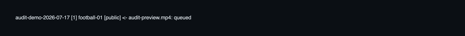 Secret-free local batch status showing the selected channel and queued public item